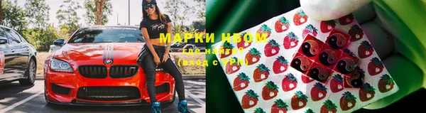 apvp Каменногорск