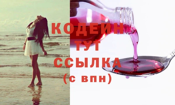 хмурый Карпинск