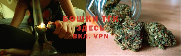 хмурый Карпинск