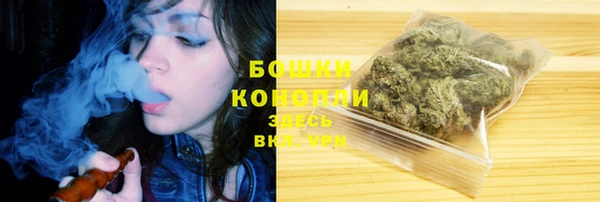 apvp Каменногорск