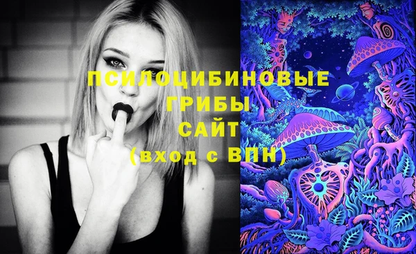 гашиш Касимов