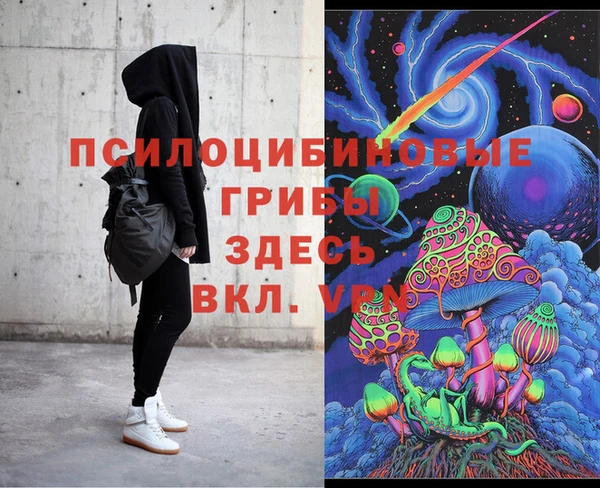 apvp Каменногорск