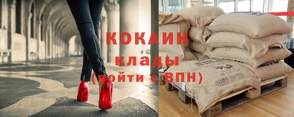 apvp Каменногорск